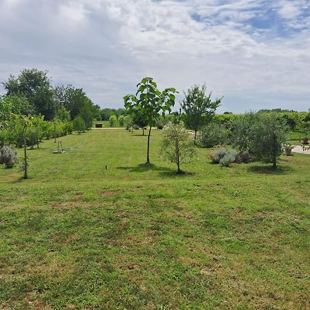 Casa Zafferano - Apartment With Garden Corno di Rosazzo Kültér fotó